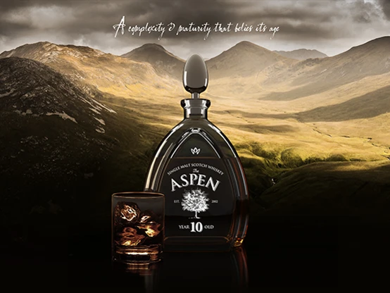 Aspen Parent Case Study 2
