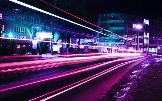 The Biases Behind Customer Inertia